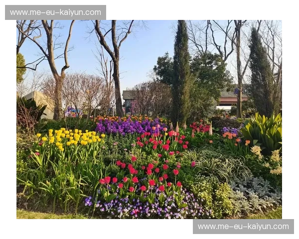 圣保罗的雨与郁金香的叹息:重回2014,那场极致压抑后的宿命对决 圣保罗的雨与郁金香的叹息:重回2014,那场极致压抑后的宿命对决